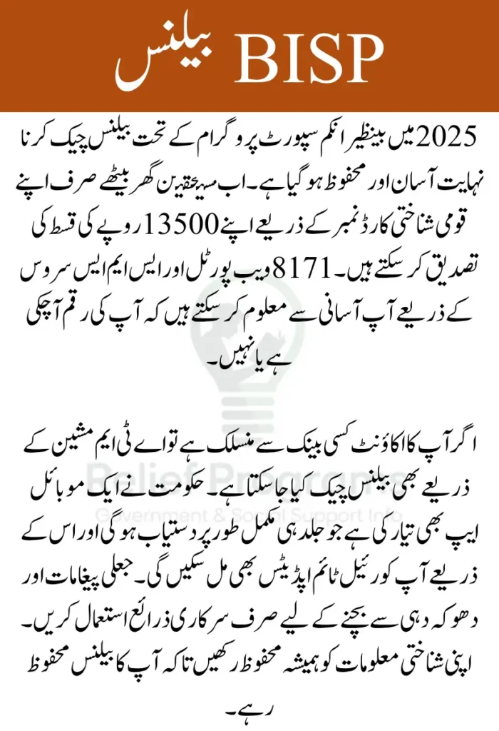 Check BISP Balance Online