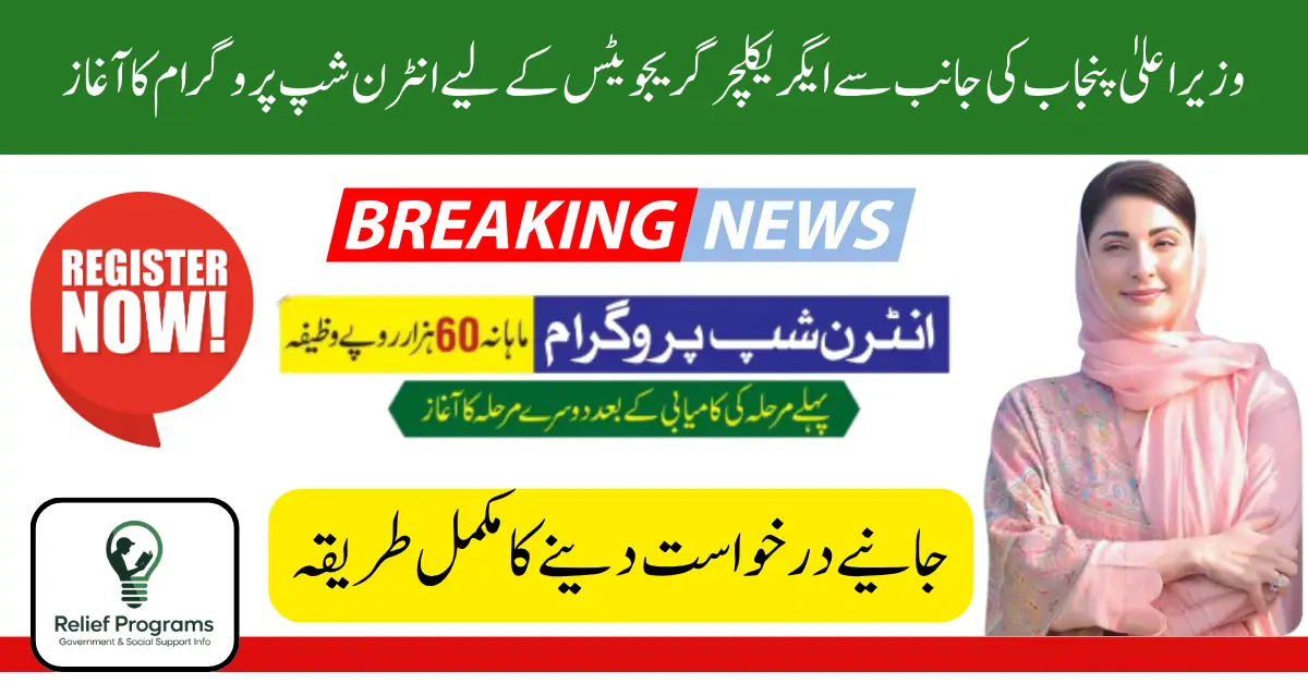 Paid Internship Program