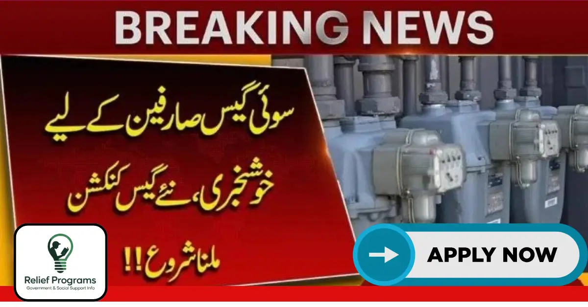 New Domestic Gas Connection 2025